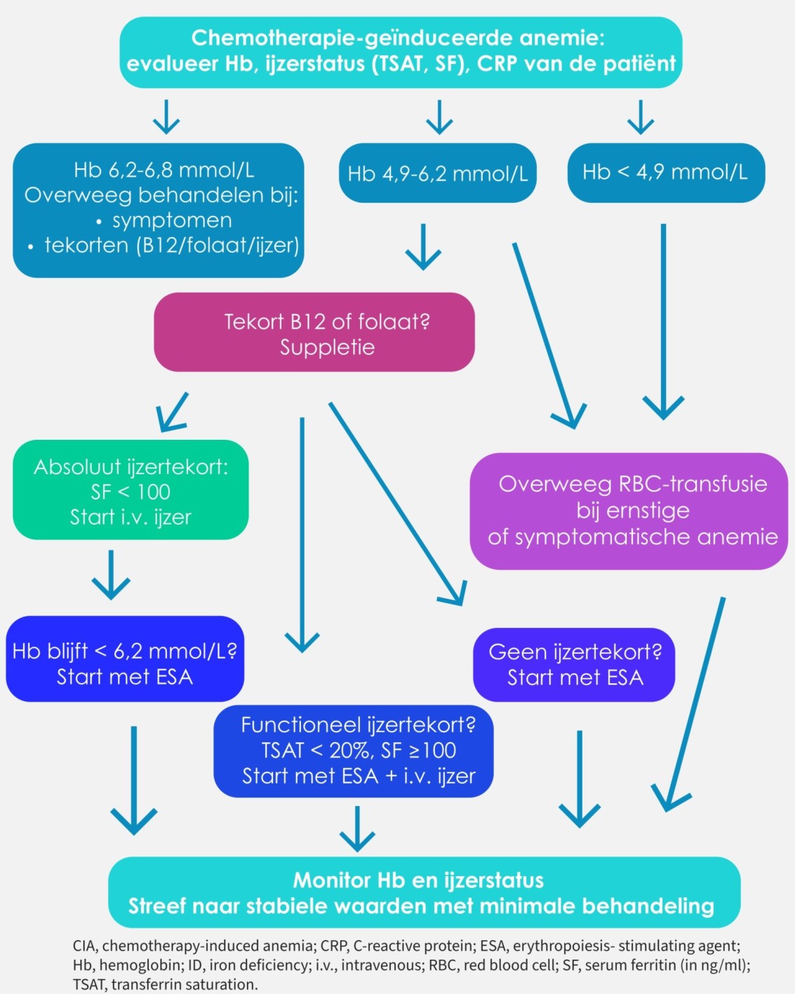 anemie behandelschema